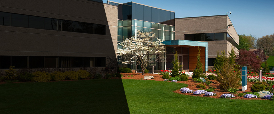 Monrovia Landscapers