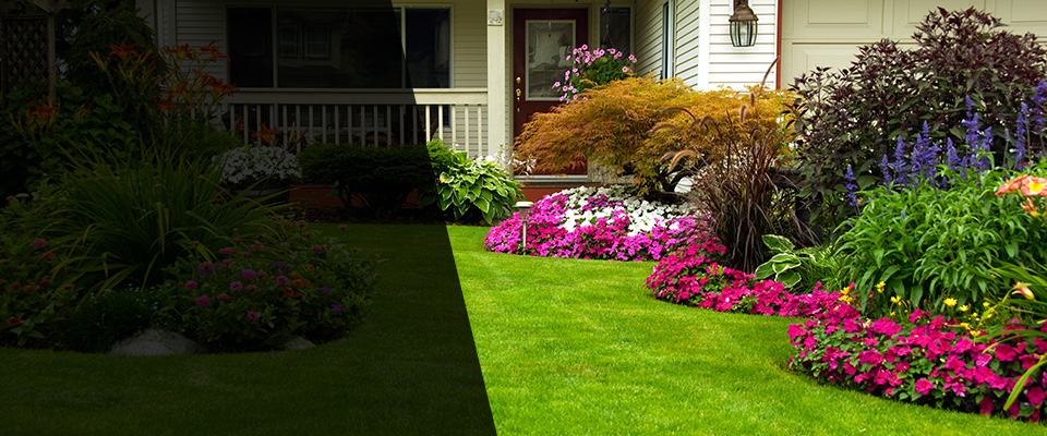 Monrovia Landscapers