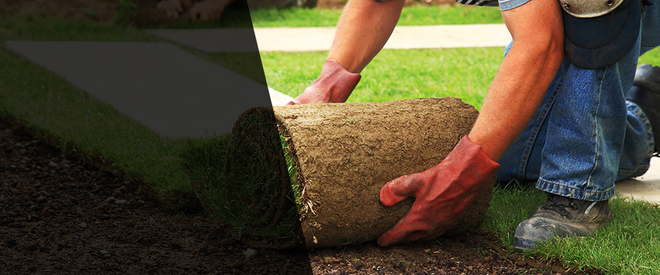 Monrovia Landscapers